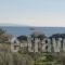 Mina'S Studios In Naxos Island_holidays_in_Hotel_Cyclades Islands_Naxos_Agia Anna