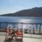 Marinas Studios_accommodation_in_Hotel_Dodekanessos Islands_Tilos_Livadia