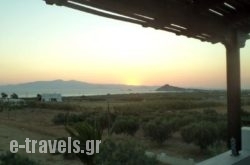 Studios Michel in Paros Chora, Paros, Cyclades Islands
