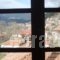Elati Apartments_accommodation_in_Apartment_Thessaly_Trikala_Elati
