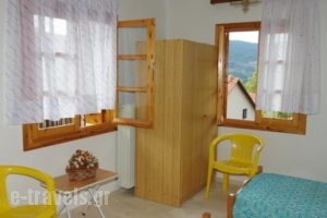 Elati Apartments_holidays_in_Apartment_Thessaly_Trikala_Elati