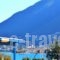 Villa Leucadia_accommodation_in_Villa_Ionian Islands_Lefkada_Lefkada's t Areas