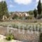 Studios Kirki_travel_packages_in_Ionian Islands_Corfu_Corfu Rest Areas