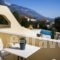Pegasos Studios_lowest prices_in_Hotel_Ionian Islands_Kefalonia_Kefalonia'st Areas