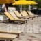 Pegasos Studios_best prices_in_Hotel_Ionian Islands_Kefalonia_Kefalonia'st Areas