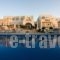 Kallisti Rooms & Apartments_accommodation_in_Room_Cyclades Islands_Paros_Paros Chora