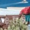 Lygdamis Hotel_accommodation_in_Hotel_Cyclades Islands_Naxos_Naxos Chora