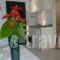 Elena Stef Apartments_best prices_in_Apartment_Ionian Islands_Corfu_Corfu Rest Areas