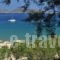 Hotel Senia_travel_packages_in_Cyclades Islands_Paros_Paros Chora