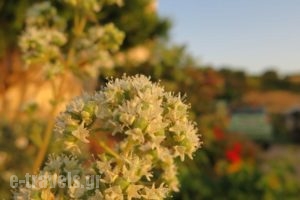Alma Villa_best deals_Villa_Crete_Heraklion_Chersonisos