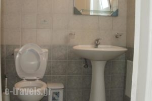 Dionysios Studios_accommodation_in_Hotel_Ionian Islands_Kefalonia_Kefalonia'st Areas
