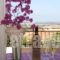 Aristotelis Apartments_accommodation_in_Apartment_Ionian Islands_Kefalonia_Kefalonia'st Areas