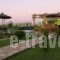 Kris Apartments_best prices_in_Apartment_Crete_Chania_Kissamos
