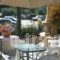 Villa Ira Studios - Apartments_holidays_in_Villa_Epirus_Preveza_Parga