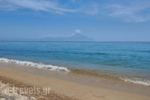 Asteras Hotel_best prices_in_Hotel_Macedonia_Halkidiki_Toroni
