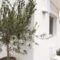 Mykonos Unique Apartment_lowest prices_in_Apartment_Cyclades Islands_Mykonos_Mykonos ora