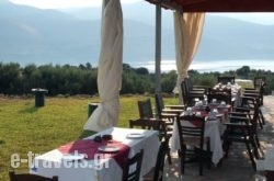 Villa Forestata in Kefalonia Rest Areas, Kefalonia, Ionian Islands