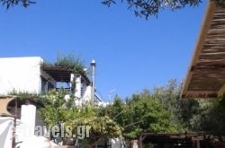 Patriko in Skopelos Chora, Skopelos, Sporades Islands
