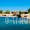 Minies Beach Villas_best prices_in_Villa_Ionian Islands_Kefalonia_Vlachata
