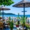 Piatsa Michalis_best deals_Hotel_Aegean Islands_Thasos_Potos
