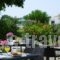 Fito Bay_holidays_in_Hotel_Aegean Islands_Samos_Pythagorio