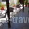 Xanemos Studios_lowest prices_in_Hotel_Sporades Islands_Skiathos_Skiathoshora