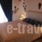 Aristotelis Studios_accommodation_in_Hotel_Sporades Islands_Skopelos_Skopelos Chora