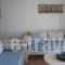 9 Muses Naxos_travel_packages_in_Cyclades Islands_Naxos_Naxos chora