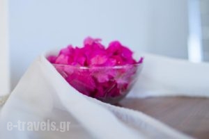 Ionian View Apartments_holidays_in_Apartment_Epirus_Preveza_Parga