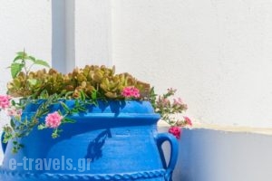 Naxos' L Poseidon_travel_packages_in_Cyclades Islands_Naxos_Naxos chora