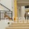 Artemis Hotel_accommodation_in_Hotel_Cyclades Islands_Naxos_Agia Anna