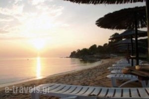 Filius Tellis Appartments_travel_packages_in_Macedonia_Halkidiki_Neos Marmaras