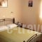 Elisabeth Villas_lowest prices_in_Villa_Aegean Islands_Samos_Samos Rest Areas