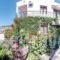 Panorama Apartments_best prices_in_Apartment_Aegean Islands_Lesvos_Plomari