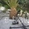 Villa Venus_best deals_Villa_Cyclades Islands_Milos_Milos Chora
