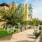 Ikaros Apartments_travel_packages_in_Crete_Heraklion_Ammoudara