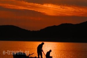 Dimitris Studios_best deals_Hotel_Ionian Islands_Kefalonia_Kefalonia'st Areas