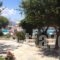 Something Else_holidays_in_Hotel_Cyclades Islands_Naxos_Agia Anna
