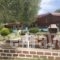 House Garlis Apartments_best deals_Apartment_Macedonia_Halkidiki_Kassandreia