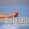 Alexander The Great Beach Hotel_best deals_Hotel_Macedonia_Halkidiki_Kassandreia
