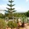 Sirius_holidays_in_Apartment_Crete_Heraklion_Chersonisos