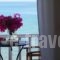 Roussos Beach Hotel_best deals_Hotel_Cyclades Islands_Paros_Paros Chora