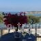 Roussos Beach Hotel_holidays_in_Hotel_Cyclades Islands_Paros_Paros Chora