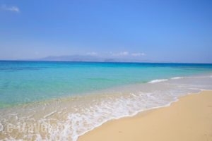 Maria'S Rooms & Studios_travel_packages_in_Cyclades Islands_Naxos_Naxos chora