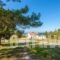 Forest Cottage_travel_packages_in_Dodekanessos Islands_Rhodes_Rhodes Rest Areas