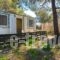 Forest Cottage_accommodation_in_Hotel_Dodekanessos Islands_Rhodes_Rhodes Rest Areas