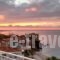 Frini Studios_accommodation_in_Hotel_Aegean Islands_Lesvos_Plomari