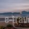 Seaside Apartments_best prices_in_Apartment_Cyclades Islands_Milos_Milos Chora