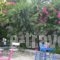 Meletis Studios_lowest prices_in_Hotel_Cyclades Islands_Paros_Paros Chora