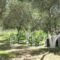 House'S Ouzanna_travel_packages_in_Macedonia_Halkidiki_Sykia